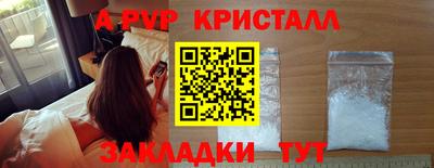 эйфоретик Малгобек