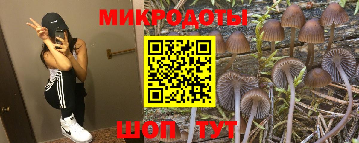 Псилоцибиновые грибы мухоморы Холмск