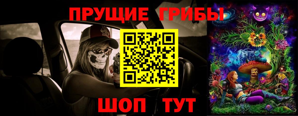 Холмск  Галлюциногенные грибы Cubensis  Вход с VPN 